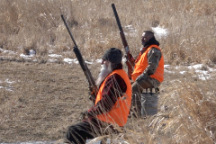 2025-04-05-Vet-Pheasant-03-4X6