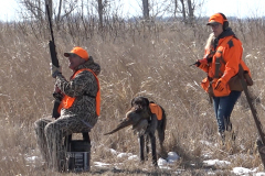2025-04-05-Vet-Pheasant-08-4X6