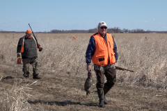 2025-04-05-Vet-Pheasant-09-4X6