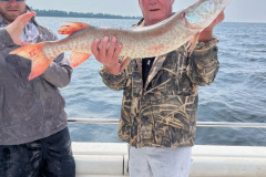 2_e7e6bb08-8da7-4b81-9be4-d189f128f746