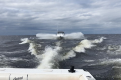 AF3FAD26-22A7-4270-9A95-5A5171EBE9AA_1_201_a