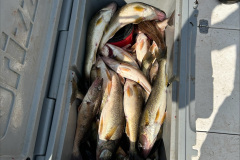 Summer-Fishing-2024-2