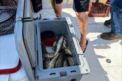Summer-Fishing-2024