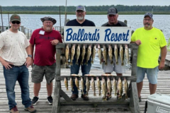 b9a7ae7f-e6d6-4cf1-a59a-7d7e2c4e34ef